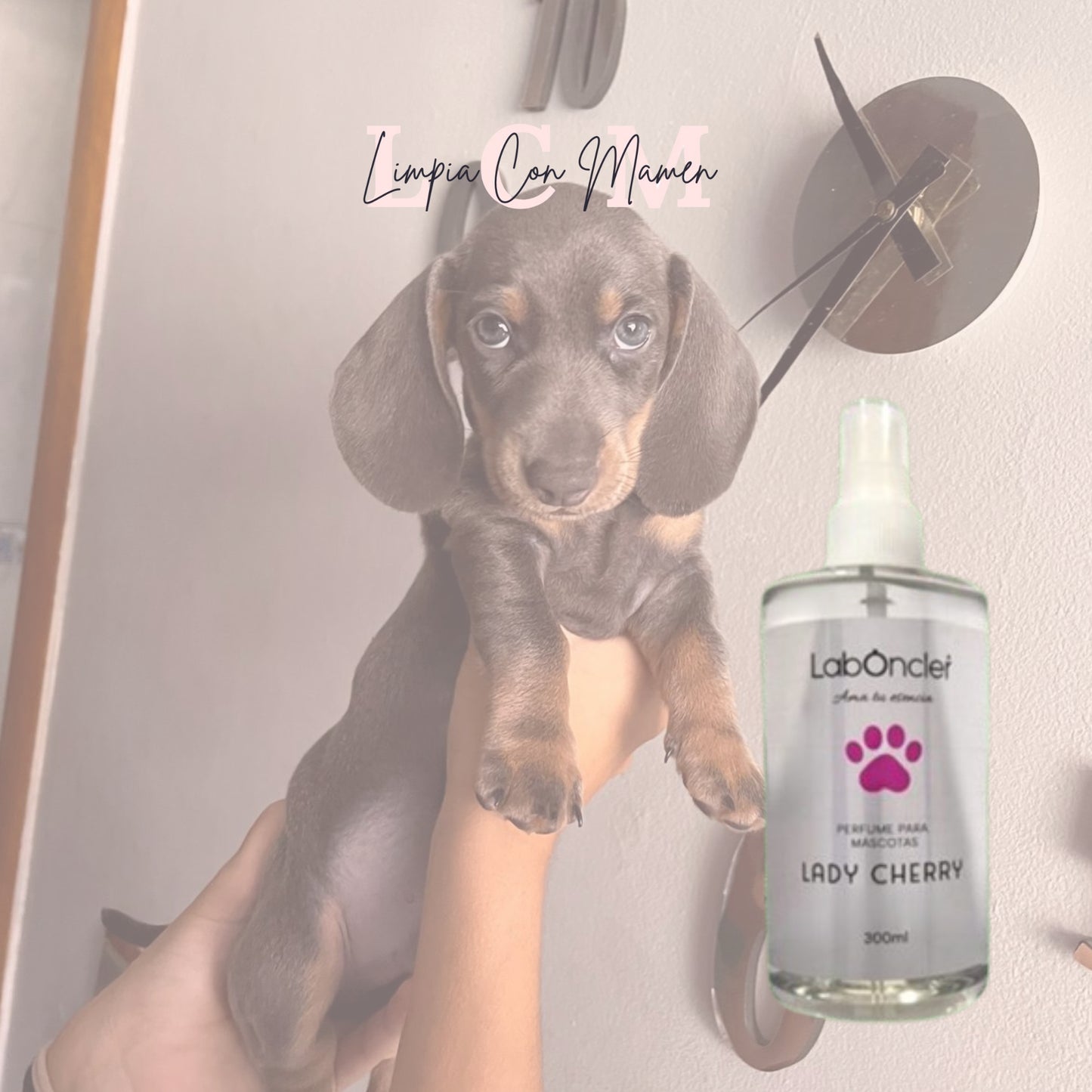 LADY CHERRY PET PERFUME 300 ML