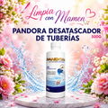 PANDORA Desatascador Gel Extreme